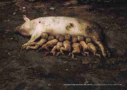 納得できる画像を貼っていくトピ。