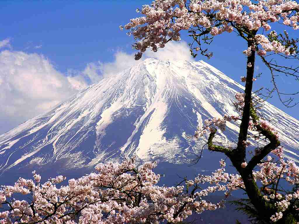 日本に住んでて良かったこと