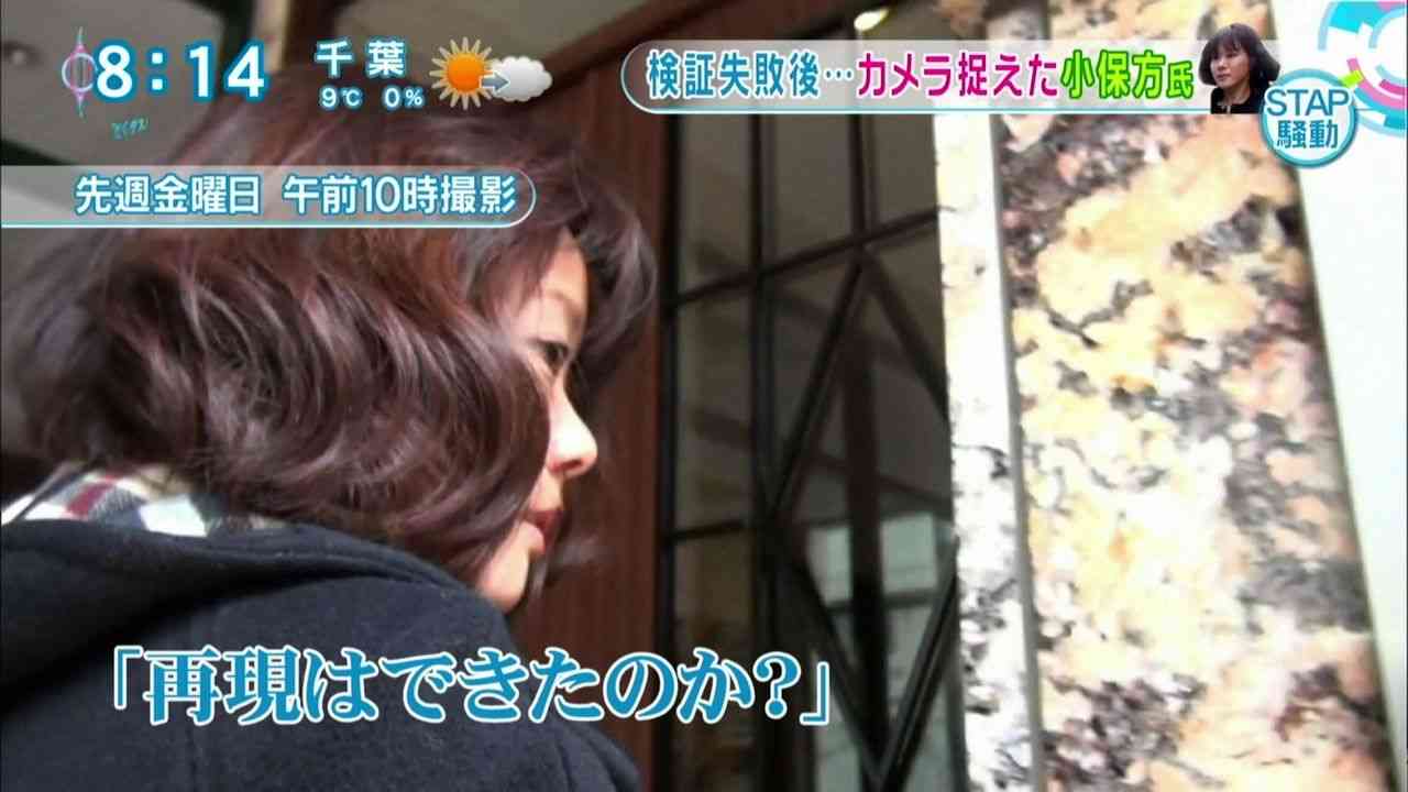 TVが続々オファー 小保方晴子さんが“第2の小倉優子”になる日