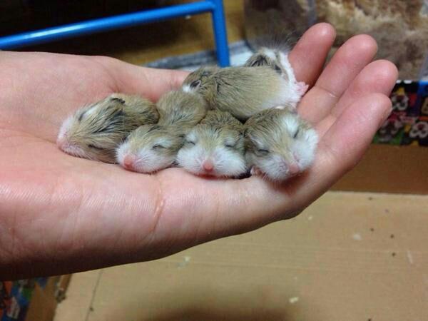 納得できる画像を貼っていくトピ。