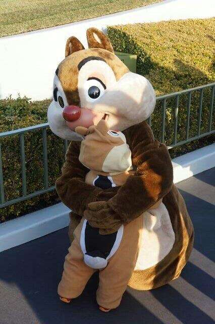 子供とディズニーランドorディズニーシー