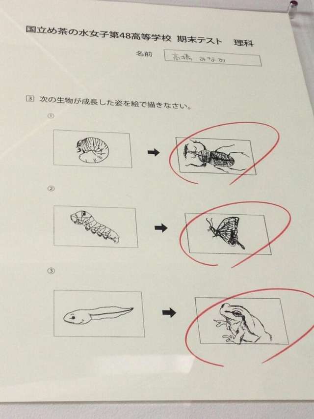 【盗作】めちゃイケ期末テストでAKB高橋みなみが描いた絵にトレース疑惑→やらせ、パクリ騒動に発展 : Gラボ [AKB48]