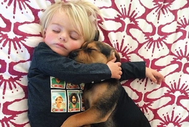 【年またぎ】見ると幸せな気分になれる画像を下さい！