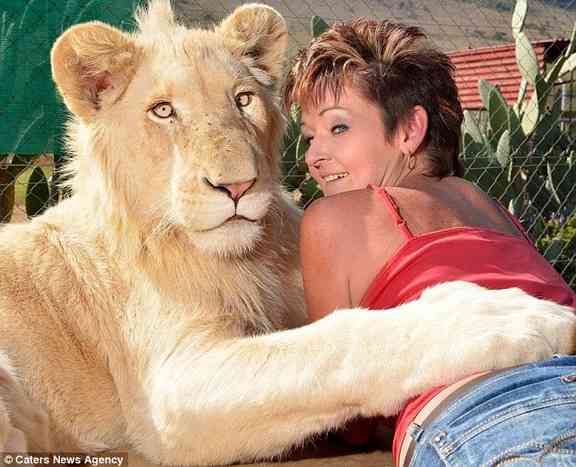 話が違うじゃないか！ミニブタだと思って飼った豚が180キロを超えた。でもかわいいから許す。