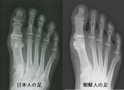 役立つ画像を貼っていきましょう！