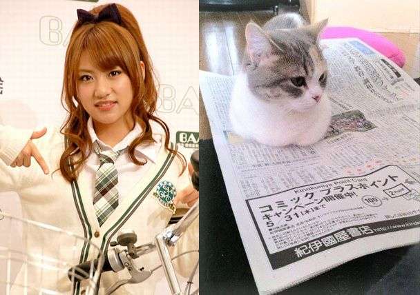 AKB48高橋みなみのブログ画像に創価学会の機関紙・聖教新聞が写り込む : Gラボ [AKB48]