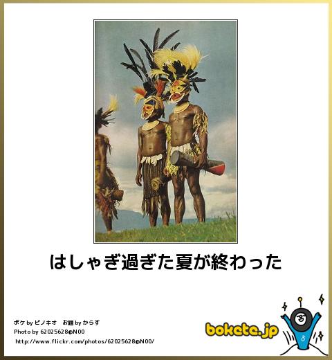 2014年の締めくくりに「ボケて」を貼っていこう