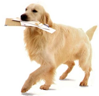 好きな犬の種類