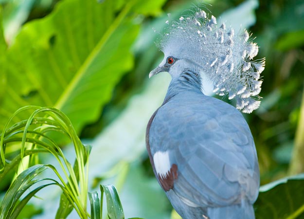 【閲覧注意？】珍しい生き物を貼るトピ