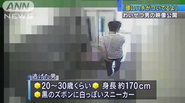 頭にハチが…9歳女児に“わいせつ”　男の映像公開