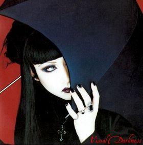 好きなヴィジュアル系アーティストは?