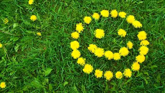 【年またぎ】見ると幸せな気分になれる画像を下さい！