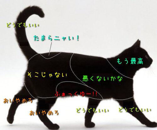 役立つ画像を貼っていきましょう！