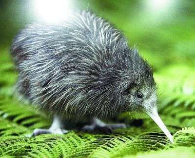 【閲覧注意？】珍しい生き物を貼るトピ