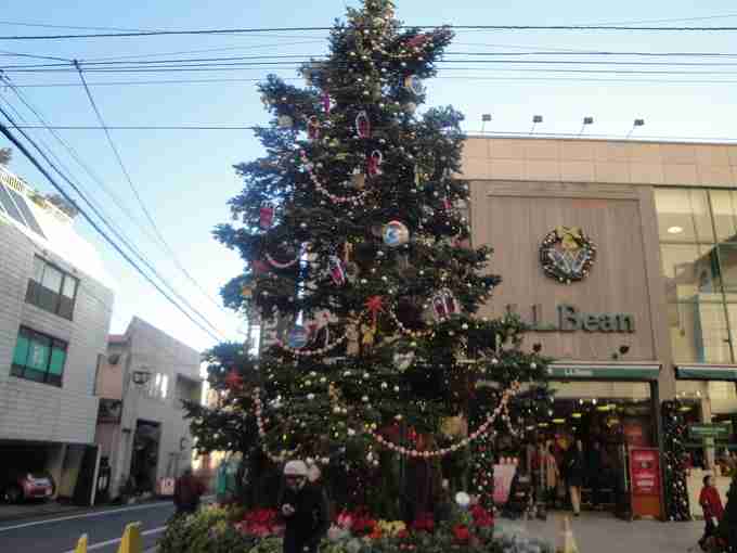 近場でおすすめのクリスマスツリー