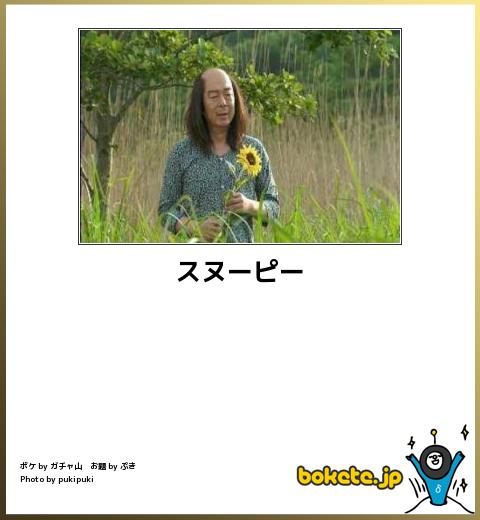 2014年の締めくくりに「ボケて」を貼っていこう