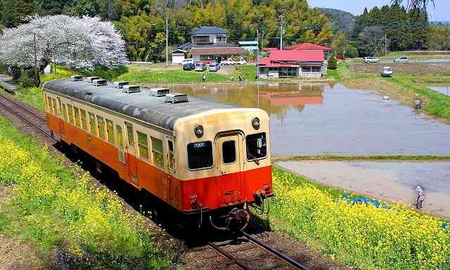 電車での飲食どう思いますか