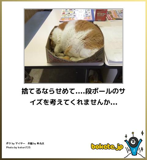 2014年の締めくくりに「ボケて」を貼っていこう