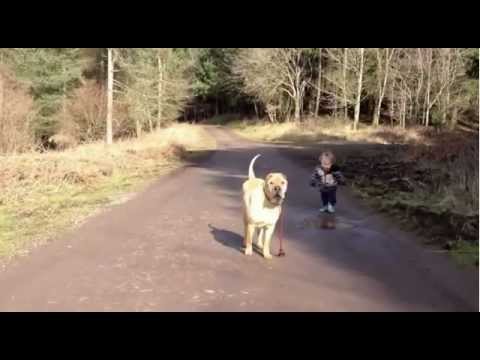 Best Friends with alternate soundtrack - YouTube