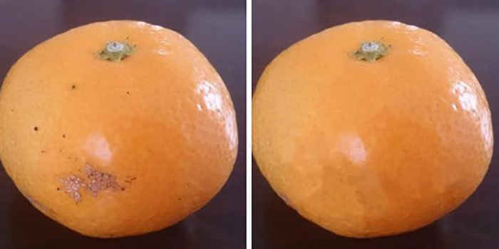 ローラ&トリンドル玲奈のすっぴん(?)2ショットに大反響「天使が2人」