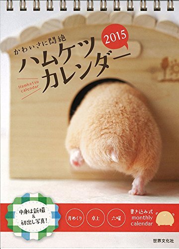 新年あけましてめでたすぎるハムケツ