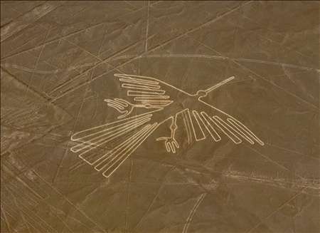 「ナスカの地上絵」寝そべり問題、ガイド役の考古学者を刑事告発へ　女性ディレクターへの告発も検討