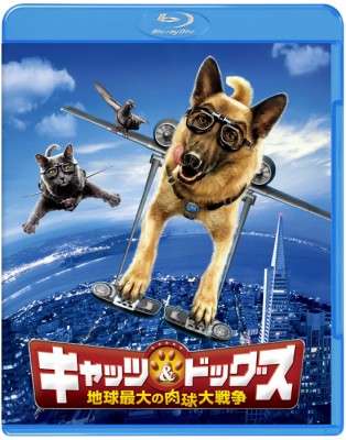 猫の出てくるオススメ映画