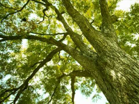世紀を越えて.wmv - YouTube