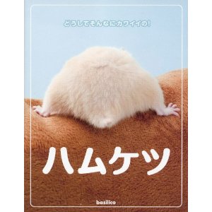 新年あけましてめでたすぎるハムケツ