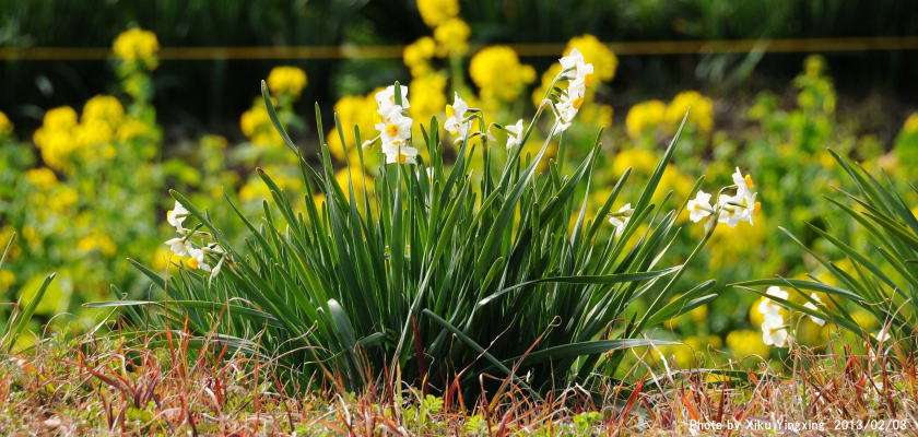 何月が一番好きですか?その訳は?