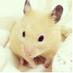 ふみこ on Twitter