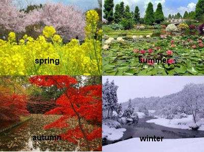 何月が一番好きですか?その訳は?