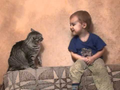 Не надо, НЕ НАДООО!!!.mpg - YouTube