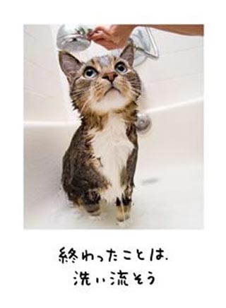 傷ついた心を癒しに来るトピ