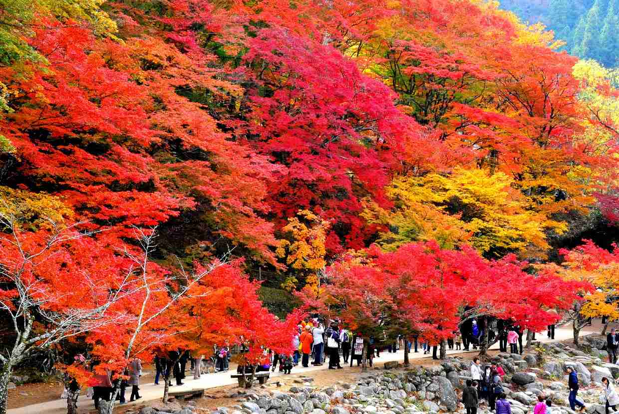 絶景！大自然のビフォア・アフター