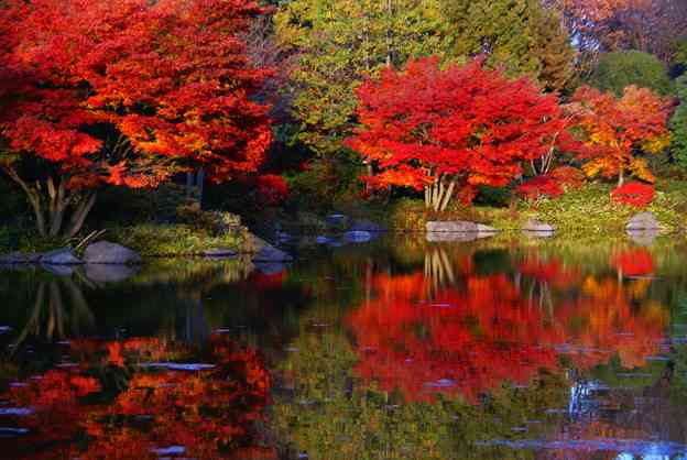 絶景！大自然のビフォア・アフター
