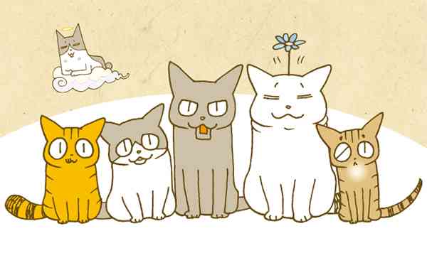 「くるねこ」特集、いくえみ綾と交換日記＆試し読み (5/13) - コミックナタリー Power Push