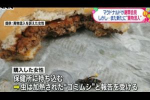 【閲覧注意】腐らず、匂わず、虫寄らず…医師がマクドナルドのチーズバーガーを2年にわたって展示