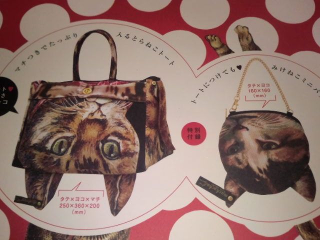 あなたが愛用している動物の○○