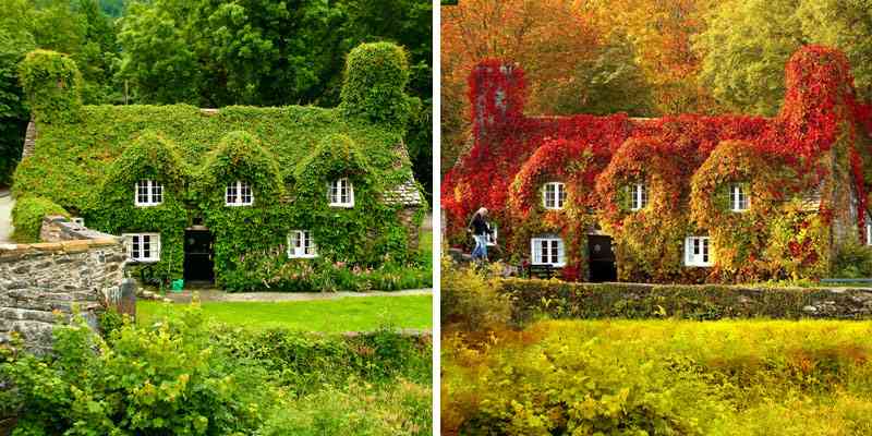 12 Before-And-After Photos Of Autumn’s Beautiful Transformations | Bored Panda
