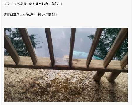 靖国神社で火災　放火したとみられる男の身柄確保、事情聴く