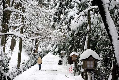 金沢旅行のオススメ、教えて下さい！！