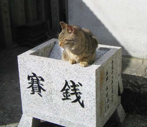 お賽銭の額いくら？