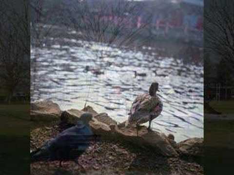 玉置浩二 - 元気な町 - YouTube