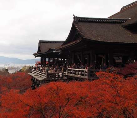絶景！大自然のビフォア・アフター