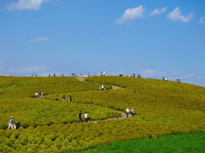 絶景！大自然のビフォア・アフター