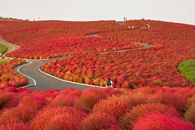 絶景！大自然のビフォア・アフター