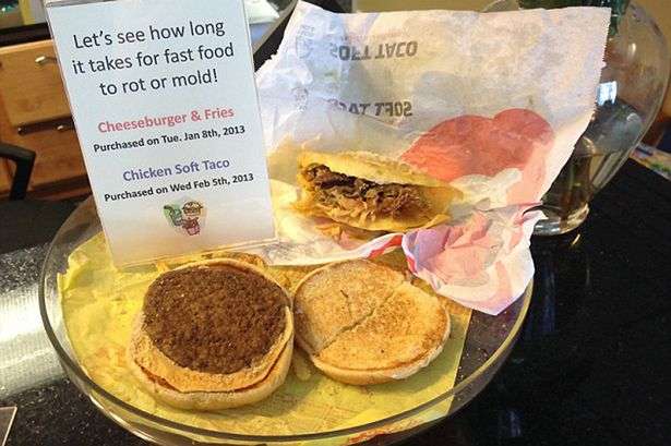 【閲覧注意】腐らず、匂わず、虫寄らず…医師がマクドナルドのチーズバーガーを2年にわたって展示