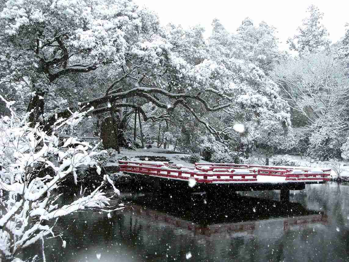 絶景！大自然のビフォア・アフター