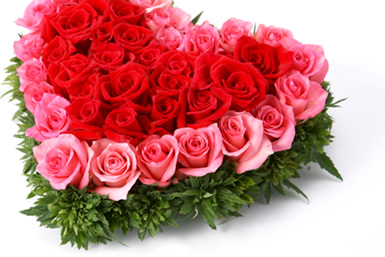 好きなお花は何ですか？